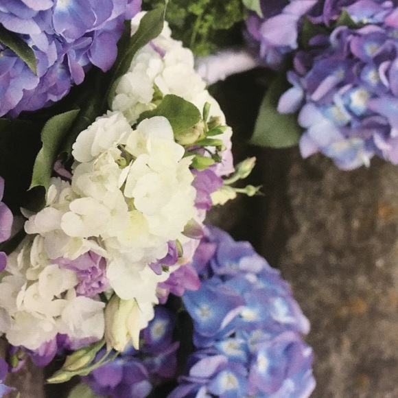 Meet your Posher, Megan - Picture 1 of 1